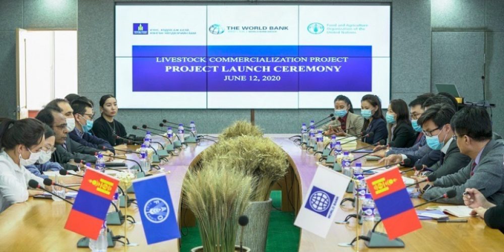 Livestock Commercialization Project signed in 14 Aimags by FAO