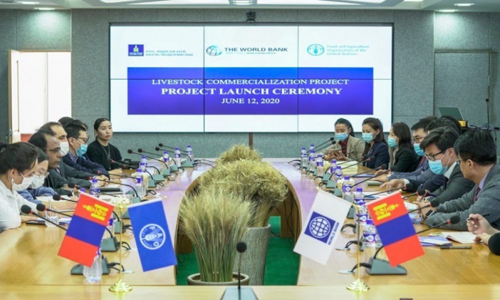 fao-mongolia-livestock-commercialization-project-2020